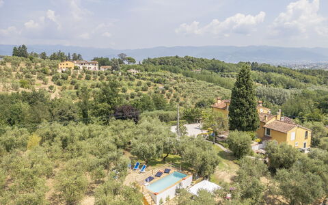 Country House Casalguidi 191 Private Pool: Arbre, Zone Rurale, Biens, Ferme, Plantation, Villa, Hacienda