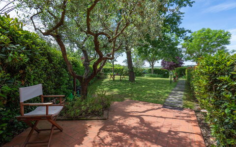 Casa Bellosguardo a Vinci: Plante, Communauté Des Plantes, Ciel, Ombre, Paysage Naturel, Lot Terre, Arbre, Suppression Des Plantes Ligneuses, Surface De La Route, Loisir