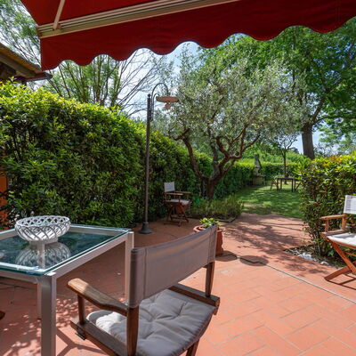 Casa Bellosguardo a Vinci: Plante, Meubles, Propriété, Table, Ombre, Chaise, Mobilier De Jardin, Arbre, Loisir, Tableau De Plein Air