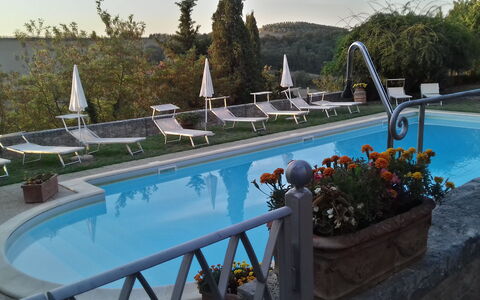 Villa Delle Palme: L'Eau, Plante, Piscine, Bleu, Bleu Azur, Arbre, Ciel, Mobilier De Jardin, Pot De Fleur, Fleur