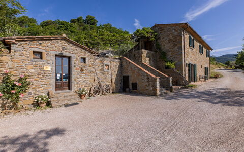 Casale Della Torre: Plante, Ciel, Nuage, Bâtiment, Fenêtre, Propriété, Maison, Arbre, Lot Terre, Architecture