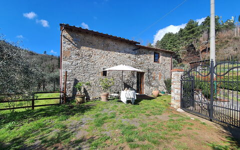 Il Cantuccio: Ciel, Nuage, Plante, Propriété, Bâtiment, Arbre, Lot Terre, Zone Rurale, Chalet, Herbe