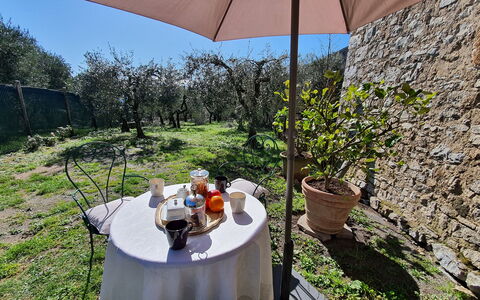 Il Cantuccio: Plante, Propriété, Pot De Fleur, Table, Parapluie, Ombre, Chaise, Mobilier De Jardin, Vaisselle, Bâtiment