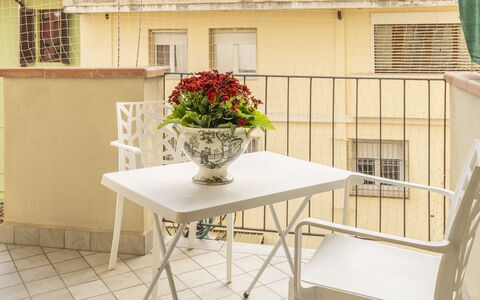 Leandro's House Near Thermal Baths: Fleur, Table, Meubles, Fenêtre, Plante, Bois, Bâtiment, Pot De Fleur, Design Intérieur, Sol