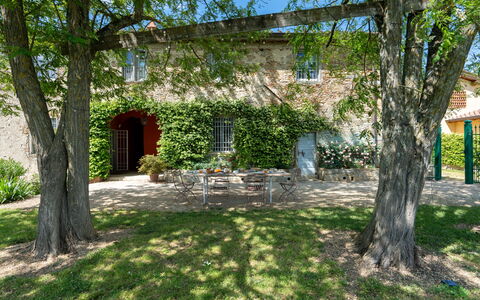 Casa Mirandola: Plante, Arbre, Bâtiment, Fenêtre, Paysage Naturel, Lot Terre, Végétation, Ombre, Ciel, Herbe
