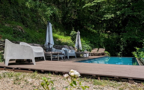 Mulino Morandi: Plante, Fleur, Communauté Des Plantes, Paysage Naturel, Arbre, Bois, Mobilier De Jardin, Végétation, Arbuste, Couverture De Sol