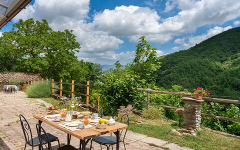 Villa Dei Tigli: Nuage, Plante, Ciel, Table, Propriété, La Nature, Pot De Fleur, Tableau De Plein Air, Arbre, Ombre