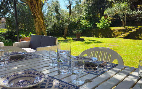 La Piccola Rocca: Table, Plante, Vaisselle, Meubles, Tableau De Plein Air, Chaise, Arbre, Mobilier De Jardin, Table Cuisine Et Salle A Manger, Verre De Vin