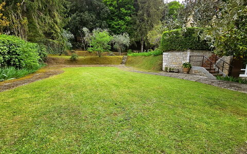 La Piccola Rocca: Plante, Propriété, Vert, Arbre, Paysage Naturel, Lot Terre, Herbe, Végétation, Arbuste, Paysage