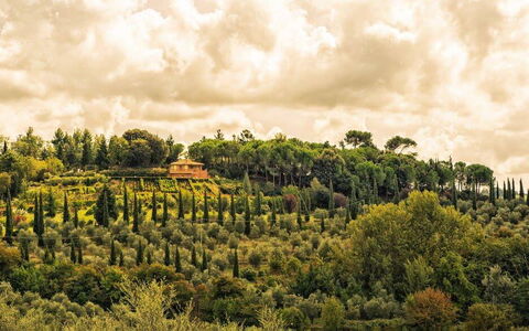 Leccino: Nuage, Plante, Ciel, Paysage Naturel, Lot Terre, Cumulus, Arbre, Paysage, Herbe, Plaine