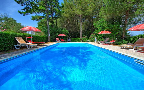 Leccino: L'Eau, Plante, Meubles, Piscine, Arbre, Chaise, Bâtiment, Ombre, Mobilier De Jardin