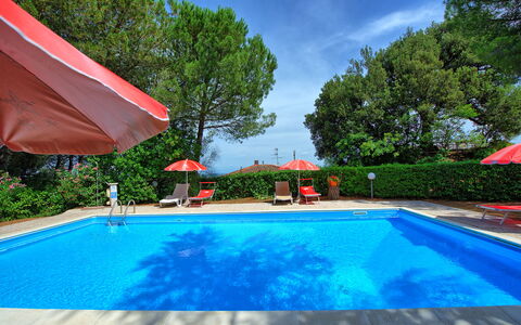 Leccino: L'Eau, Plante, Propriété, Piscine, Nuage, La Nature, Bleu Azur, Ciel, Arbre, Ombre