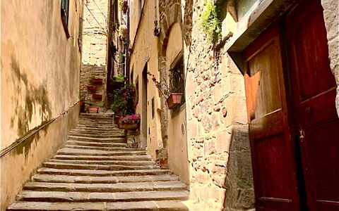Vicolo Della Scala Rooms: Bâtiment, Bois, Surface De La Route, Maison, Plante, Escaliers, Sol, Quartier, Ruelle, Teintes Et Ombres