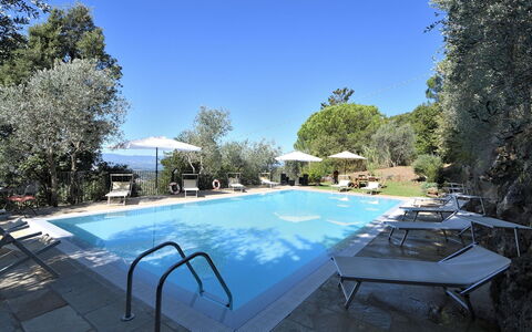 Villa Sette Ponti Levante: Plante, Ciel, Propriété, L'Eau, Piscine, Table, Bleu Azur, Ombre, Mobilier De Jardin, Arbre