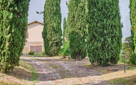 Villa Conte Jacopo: Plante, Ciel, Lot Terre, Herbe, À Feuilles Persistantes, Haie, Paysage Naturel, Arbre, Arbuste, Paysage