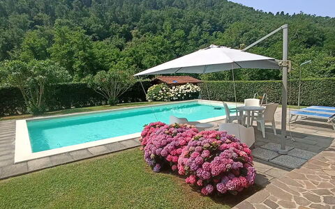 Villa Carducci: Ciel, Plante, L'Eau, Propriété, Piscine, Parapluie, Fleur, Mobilier De Jardin, Ombre, Arbre