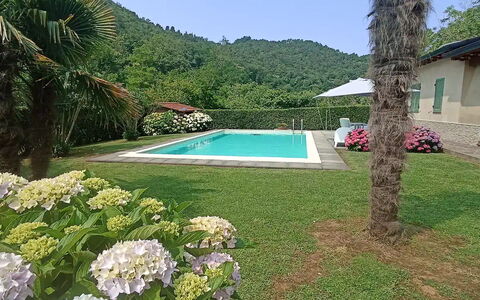 Villa Carducci: Plante, L'Eau, Fleur, Ciel, Botanique, Vert, Bleu Azur, Arbre, Paysage Naturel, Piscine