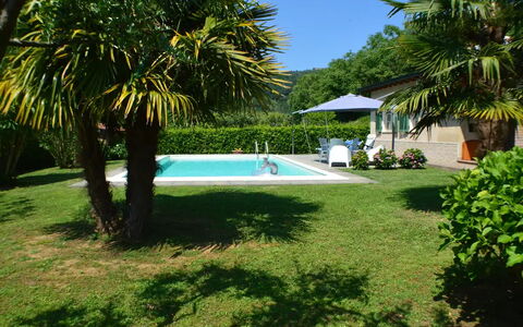 Villa Carducci: L'Eau, Plante, Piscine, Ombre, Arbre, Arecales, Mobilier De Jardin, Loisir, Herbe, Paysage