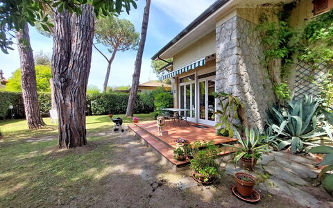 Casa La Pineta: Plante, Propriété, Bâtiment, La Nature, Arbre, Pot De Fleur, Ciel, Lot Terre, Arecales, Herbe