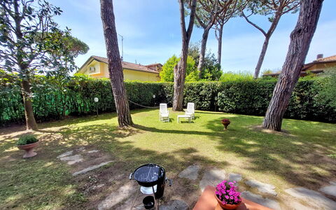 Casa La Pineta: Plante, Propriété, Ciel, Pot De Fleur, Botanique, Arbre, Bâtiment, Nuage, Herbe, Arecales