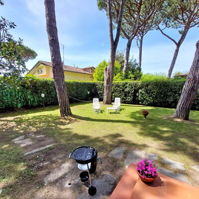 Casa La Pineta: Plante, Propriété, Ciel, Pot De Fleur, Botanique, Arbre, Bâtiment, Nuage, Herbe, Arecales