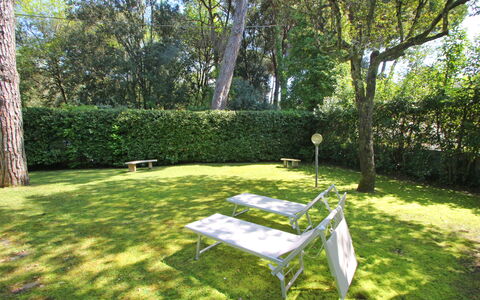 Villa Le Macchie: Plante, Table, Arbre, Ombre, Mobilier De Jardin, Paysage Naturel, Végétation, Lumière Du Soleil, Herbe, Couverture De Sol