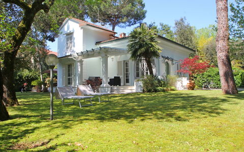 Villa Le Macchie: Plante, Bâtiment, Propriété, Fenêtre, Ciel, Arbre, Porte, Botanique, Maison, Lot Terre