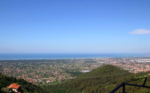 Panorama: Nuage, Ciel, Plante, Montagnes, Terrain, Cityscape, Cumulus, Arbre, Horizon, Ville