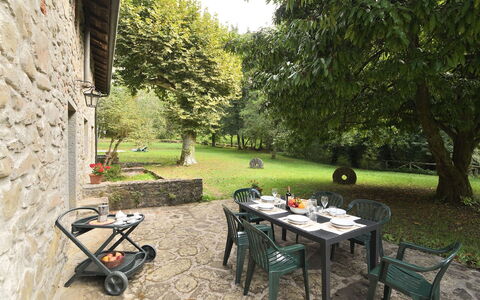 Villa Del Mulino: Plante, Table, Arbre, Mobilier De Jardin, Tableau De Plein Air, Chaise, Ombre, Herbe, Pot De Fleur, Bois