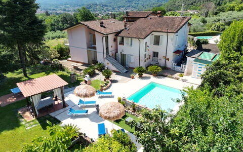 Casa Luigi: Plante, Bâtiment, Propriété, Fenêtre, Arbre, Maison, Chalet, Lot Terre, Design Urbain, Quartier