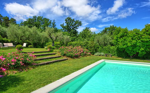 Villa Mami: Plante, L'Eau, Ciel, Nuage, Propriété, Vert, Paysage Naturel, Arbre, Fleur, Herbe