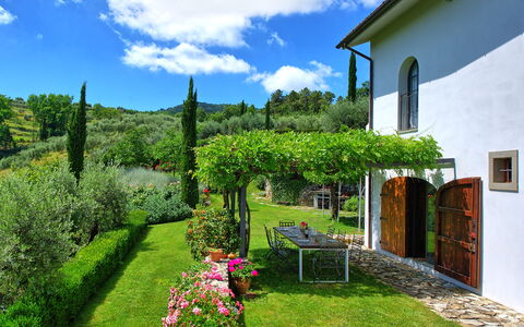 Villa Mami: Plante, Nuage, Fleur, Ciel, Vert, Fenêtre, Paysage Naturel, Bâtiment, Lot Terre, Végétation