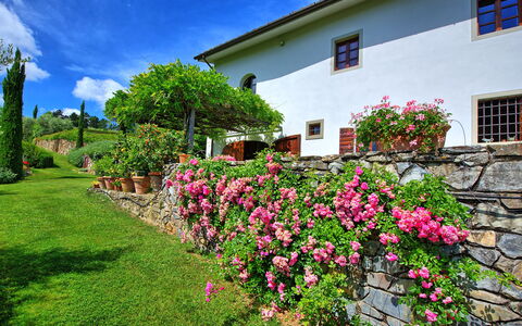 Villa Mami: Fleur, Plante, Ciel, Propriété, Fenêtre, Nuage, Vert, Bâtiment, Architecture, Arbre