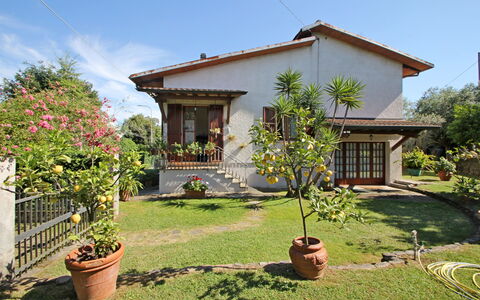 Casa Il Prato: Plante, Ciel, Propriété, Fleur, Bâtiment, Fenêtre, Pot De Fleur, Arbre, Lot Terre, Végétation