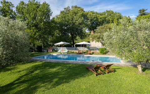 Villa Ida: Plante, Ciel, L'Eau, Nuage, Piscine, Paysage Naturel, Arbre, Mobilier De Jardin, Ombre, Herbe