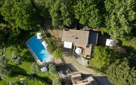 Villa Ida: Plante, Propriété, Bâtiment, Arbre, Architecture, Végétation, Fenêtre, Herbe, Design Urbain, Chalet