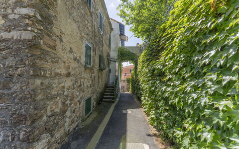 Emma House, Terrace and Sea View, Moneglia: Plante, Surface De La Route, Architecture, Bâtiment, Herbe, Fenêtre, Route, Ville, Arbre, Façade