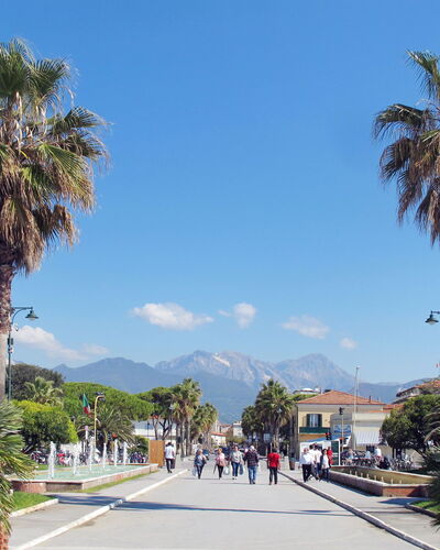 Villa Giuliana: L'Eau, Ciel, Nuage, Plante, Piscine, Arbre, Ombre, Composite, Herbe, Paysage
