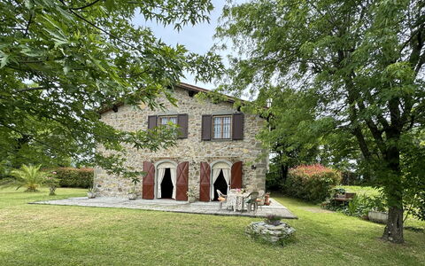 Pinocchio: Plante, Bâtiment, Fenêtre, Arbre, Lot Terre, Maison, Herbe, Ciel, Chalet, Paysage