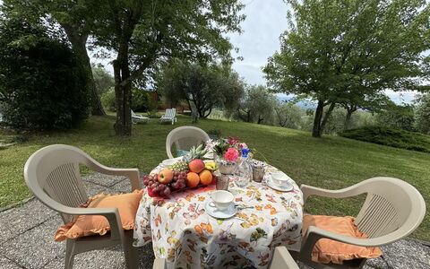 Pinocchio: Table, Plante, Meubles, Propriété, Chaise, Tableau De Plein Air, Vaisselle, Arbre, Mobilier De Jardin, Paysage Naturel