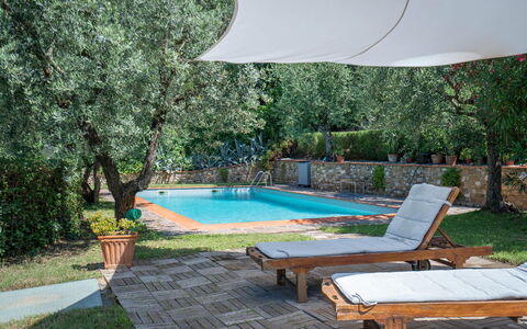 Chianti Hills Apartment, Pool, Ac: Plante, L'Eau, Propriété, Meubles, Piscine, Ombre, Mobilier De Jardin, Design Intérieur, Balancelle, Arbre