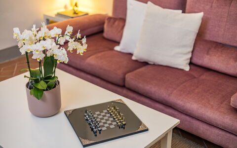 Rose's Palace: Fleur, Table, Meubles, Propriété, Plante, Canapé, Blanc, Design Intérieur, Confort, Jaune