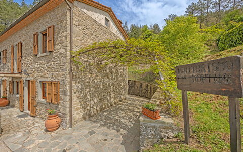 La Montana: Plante, Bâtiment, Nuage, Propriété, Ciel, Arbre, Fenêtre, Lot Terre, Maison, Brique