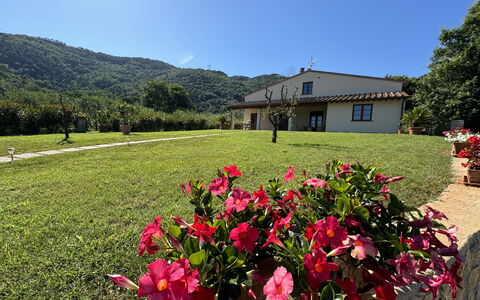Casa Viviani: Fleur, Ciel, Plante, Propriété, La Nature, Fenêtre, Paysage Naturel, Arbre, Pétale, Végétation