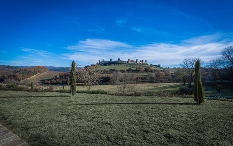 Santa Colomba House, Siena, Nature And Pool: Herbe, Prairie, Paysage, Plaine, Lot Terre, Zone Rurale, Champ, Pâturage, Prairie, Prairie