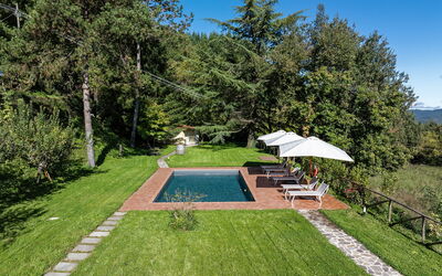 Villa Chicco: Plante, Ciel, Parapluie, Botanique, Arbre, Ombre, Lot Terre, Herbe, Piscine, Loisir