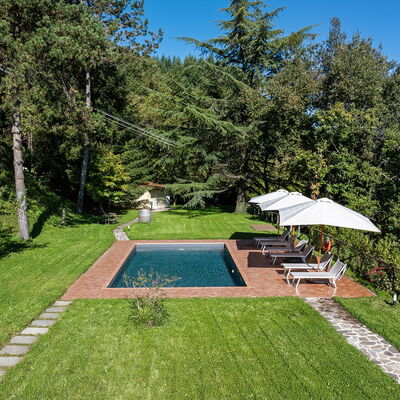 Villa Chicco: Plante, Ciel, Parapluie, Botanique, Arbre, Ombre, Lot Terre, Herbe, Piscine, Loisir