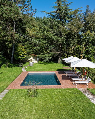Villa Chicco: Plante, Ciel, Parapluie, Botanique, Arbre, Ombre, Lot Terre, Herbe, Piscine, Loisir