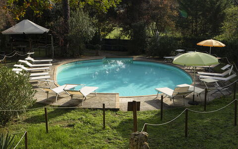 Borgo Dolciano: L'Eau, Plante, Piscine, Ombre, Mobilier De Jardin, Paysage Naturel, Herbe, Arbre, Chaise, Loisir