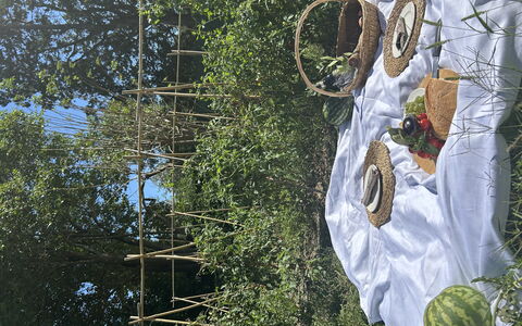 Borgo Dolciano: Jardin, Produire, Fruit, Aliments Naturels, Agriculture